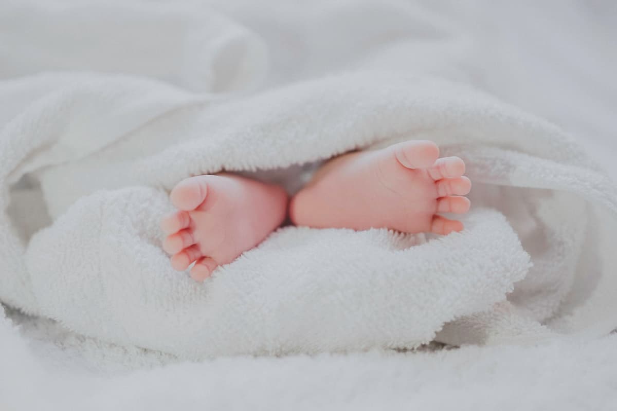 18 tháng tuổi, 18 hợp đồng quảng cáo: Bé Jae-i trở thành người nộp thuế
